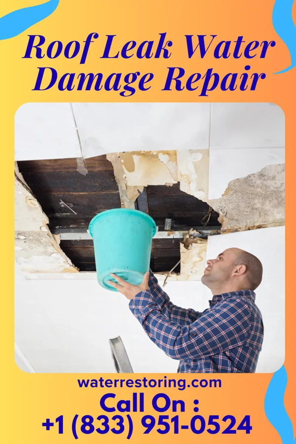 Roof Leak Water Damage Repair in Copperhill, TN