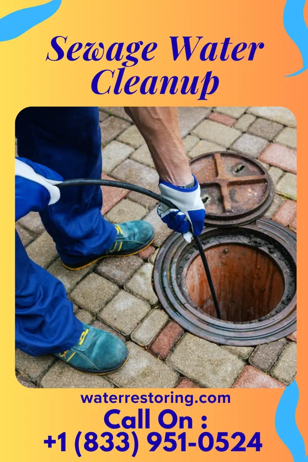 Sewage Water Cleanup in Copperhill, TN
