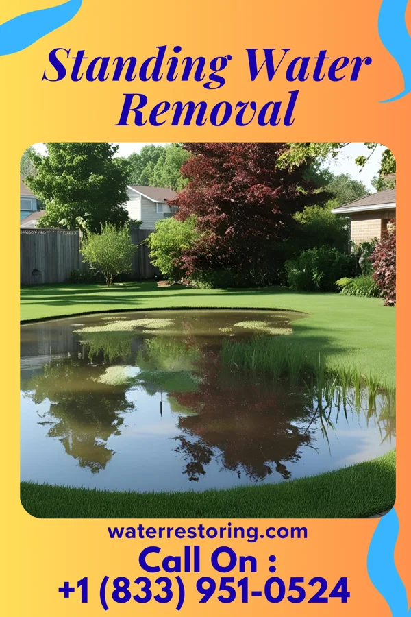 Standing Water Removal in Copperhill, TN